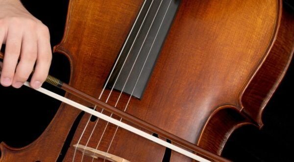 Picture of Bin Xin Li - Cello Educator